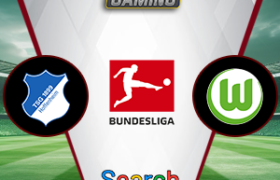 Hoffenheim vs Wolfsburg 11 Januari 2025